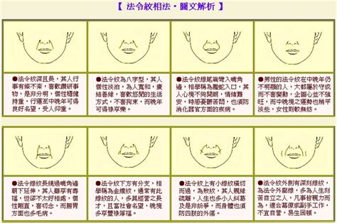 金縷紋面相|五官相面學——法令紋